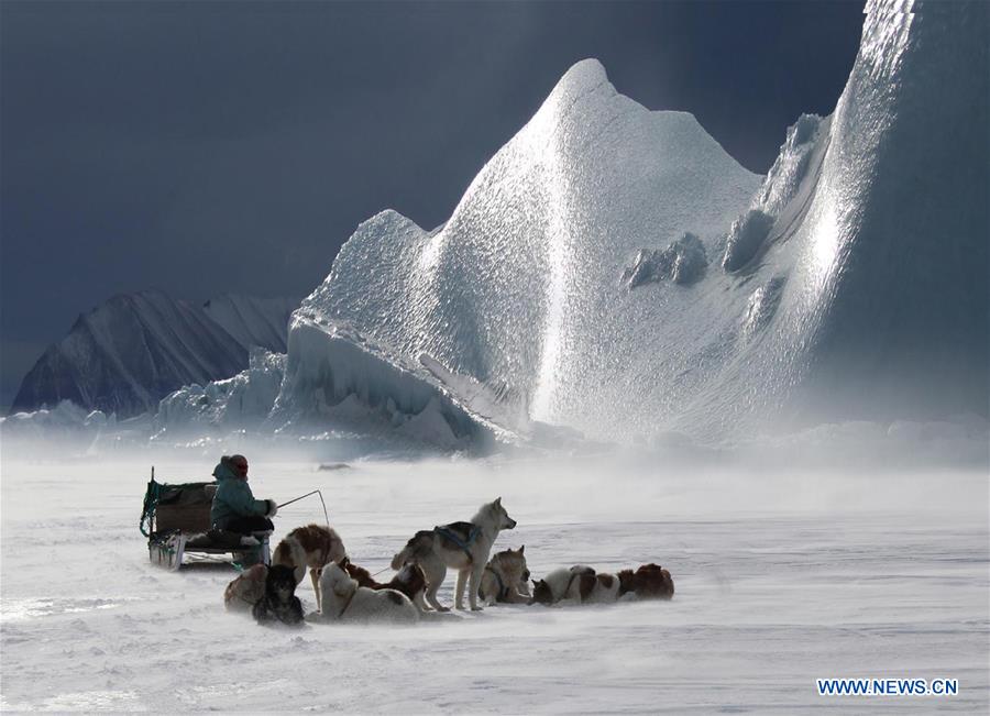 CHINA-YEAR OF DOG-APPROACHING (CN)