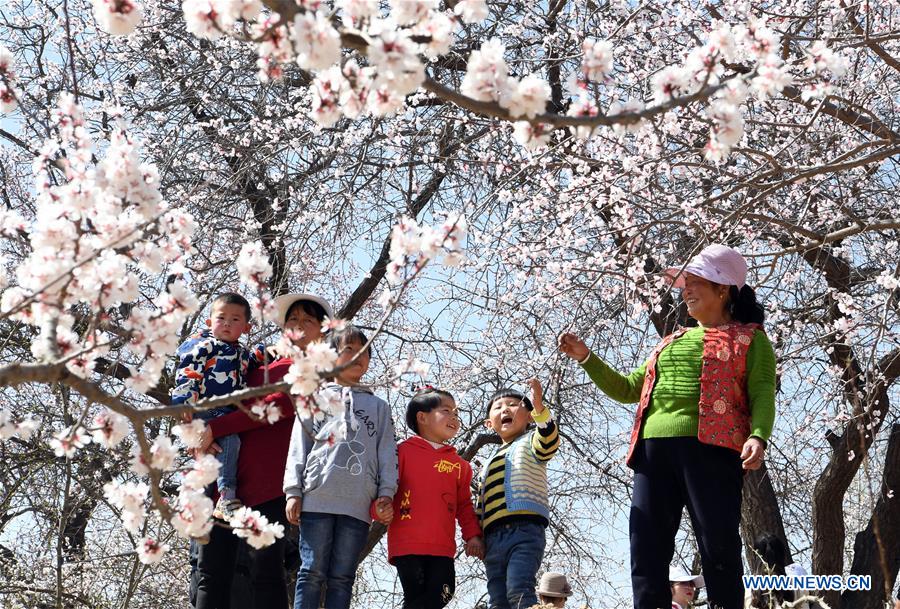 CHINA-GANSU-SPRING SCENERY (CN)