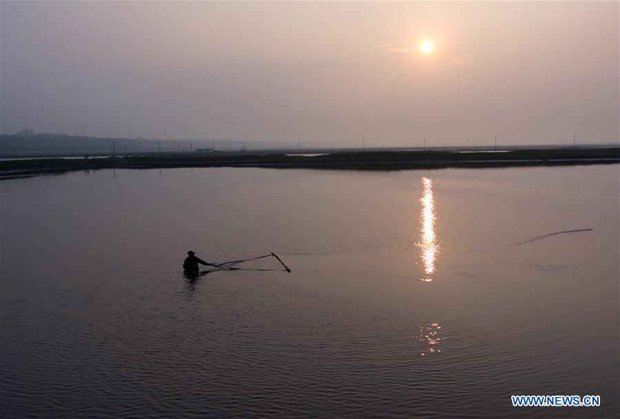 CHINA-SHANXI-BRINE SHRIMP-HARVEST (CN)