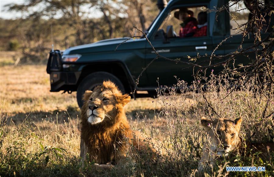 KENYA-MAASAI MARA-CHINESE WILDLIFE CONSERVATIONIST