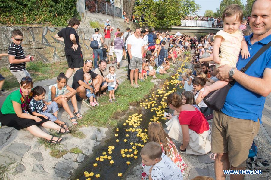 HUNGARY-SZENTENDRE-RUBBER DUCK RACE