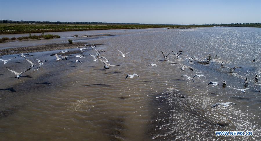 CHINA-GANSU-HEIHE RIVER-WETLAND (CN)