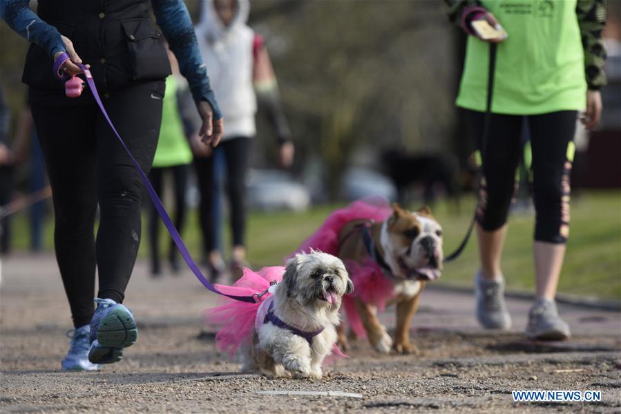 URUGUAY-MONTEVIDEO-"PET RUN"