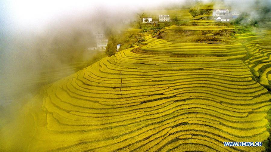 CHINA-SHAANXI-TERRACED FIELDS (CE)