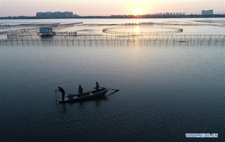 CHINA-JIANGSU-KUNSHAN-HAIRY CRAB CULTIVATOR (CN)