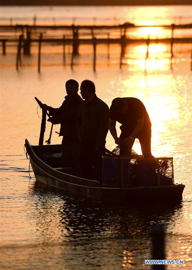 CHINA-JIANGSU-KUNSHAN-HAIRY CRAB CULTIVATOR (CN)