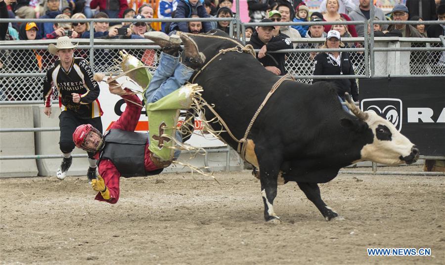 (SP)CANADA-MARKHAM-RODEO