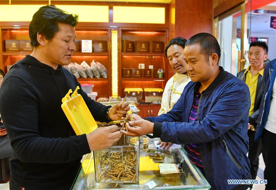 CHINA-LHASA-CORDYCEPS-CATERPILLAR FUNGUS-TRADE FAIR (CN)