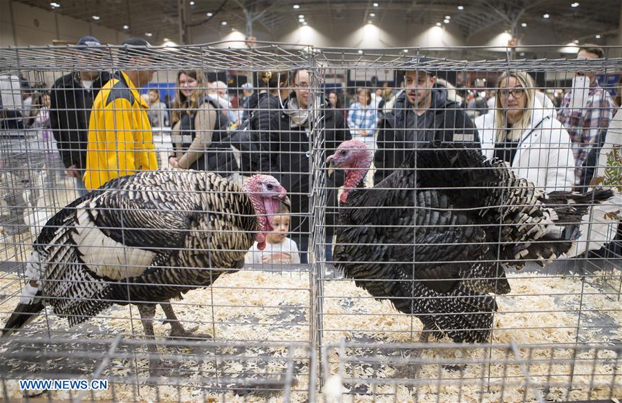 CANADA-TORONTO-ROYAL AGRICULTURAL WINTER FAIR