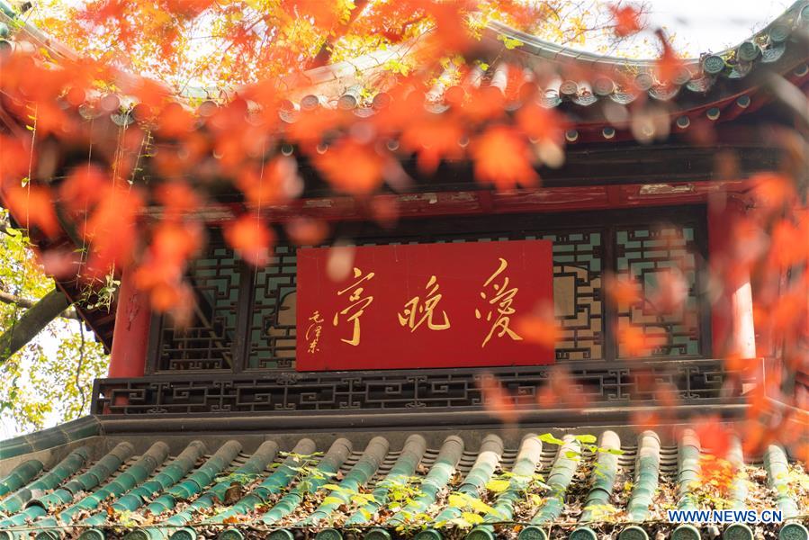 CHINA-HUNAN-CHANGSHA-AUTUMN SCENERY (CN)