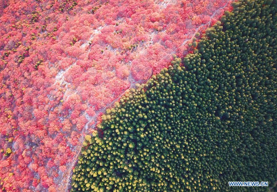 CHINA-COLOR-DRONE PHOTOS OF THE YEAR (CN)