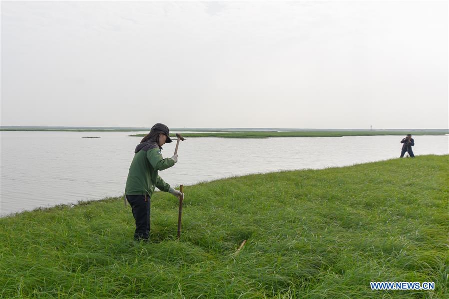 CHINA-HUNAN-DONGTING LAKE-ENVIROMENT PROTECTION