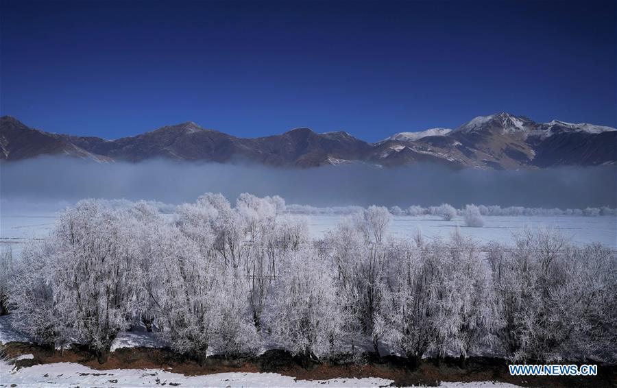 CHINA-TIBET-WINTER-RIME (CN)