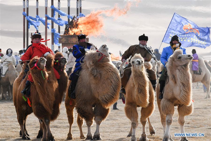 CHINA-INNER MONGOLIA-CAMEL NADAM (CN)