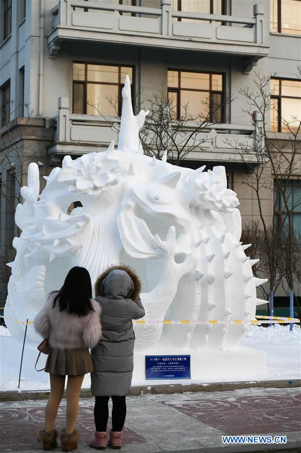 CHINA-HEILONGJIANG-HARBIN-COLLEGE STUDENT-SNOW SCULPTURE COMPETITION (CN)