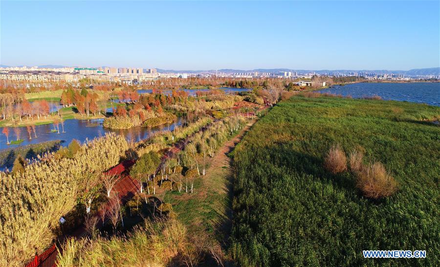 CHINA-KUNMING-DIANCHI LAKE-SCENERY (CN)