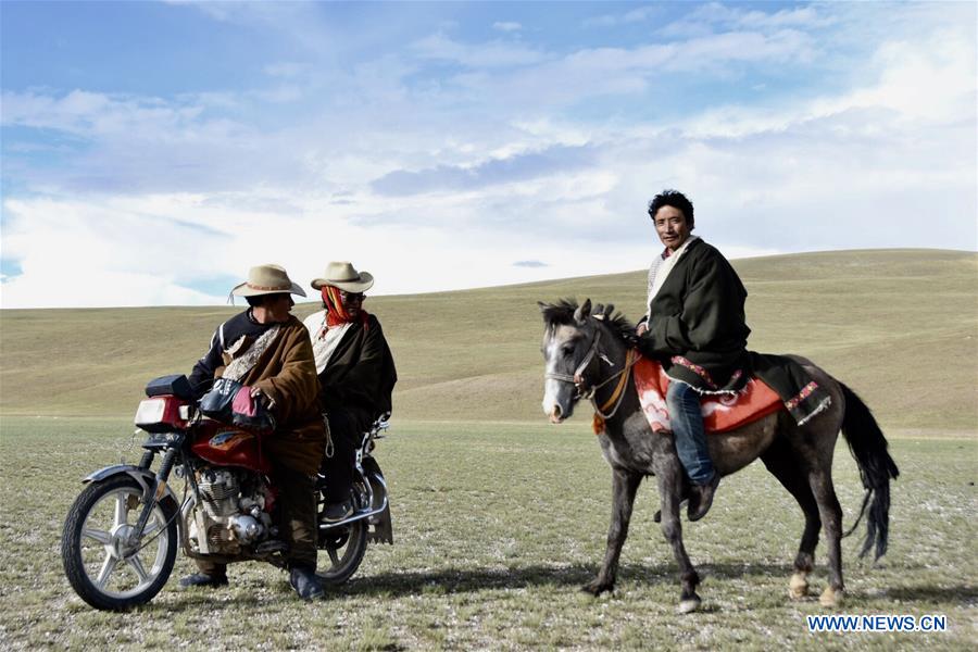 (InTibet) CHINA-TIBET-HORSE (CN)