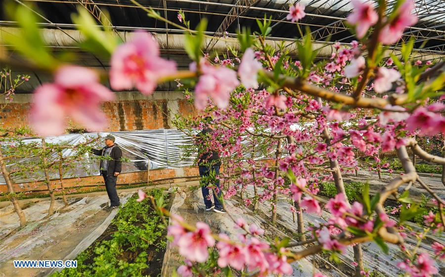 #CHINA-FARM WORK (CN)