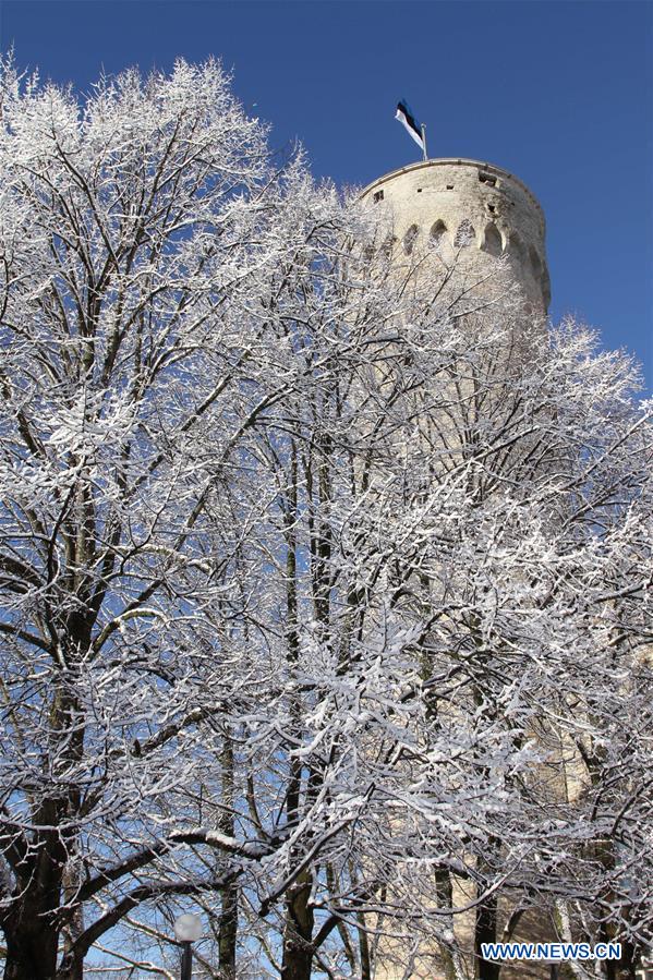 ESTONIA-TALLINN-SNOW AND FROST