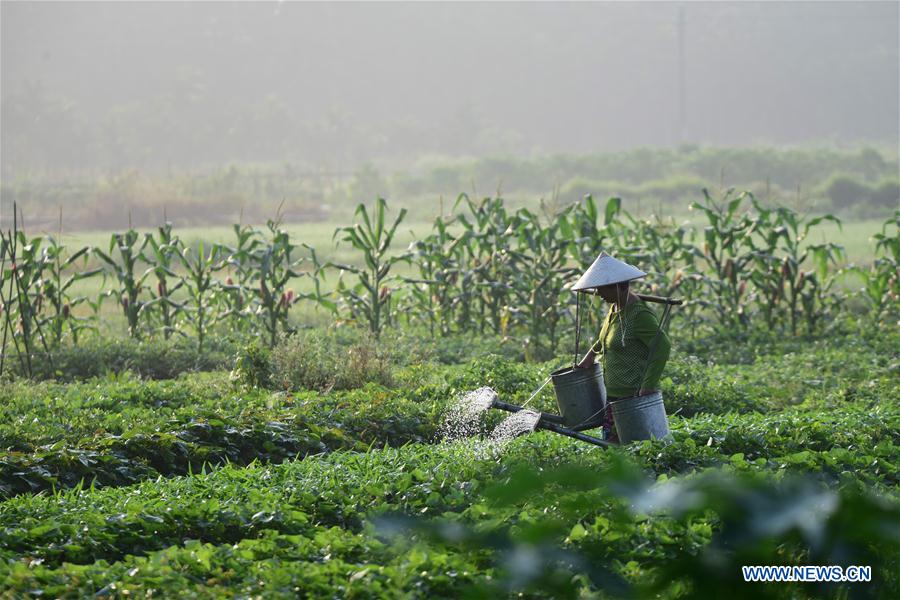 #CHINA-SPRING-FARMING (CN)