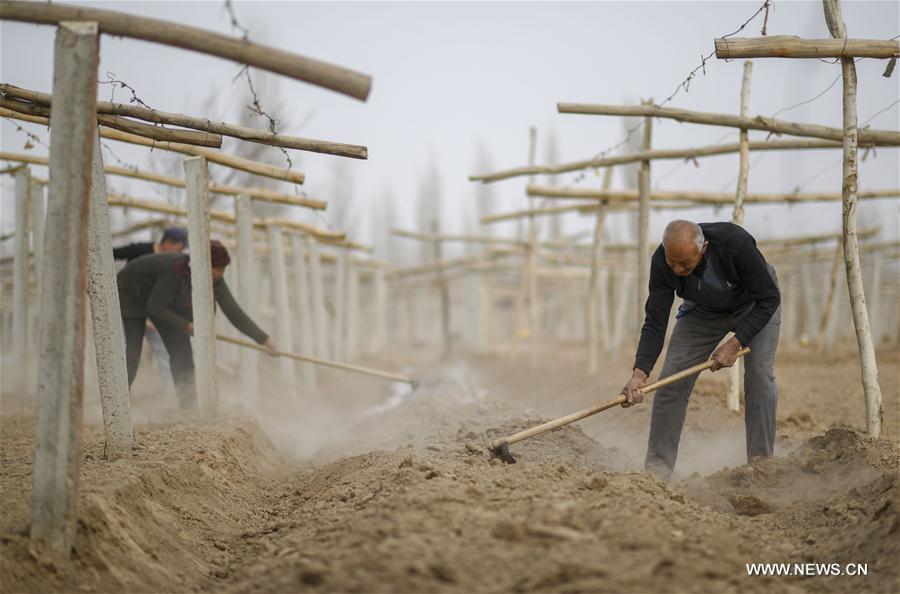 CHINA-CHUNFEN-FARM WORK(CN)