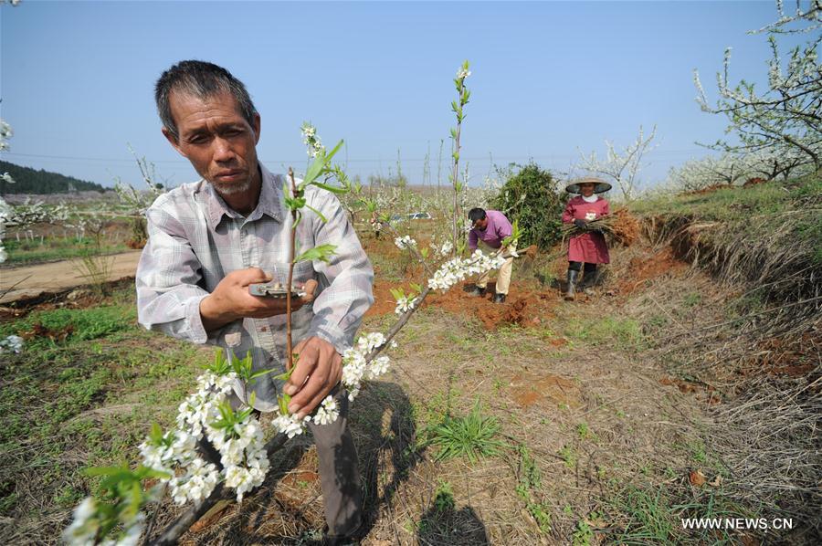 CHINA-CHUNFEN-FARM WORK(CN)