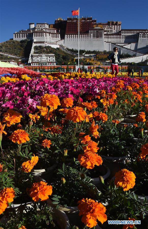 Xinhua Headlines: 60 years on, democratic reform leads to a modern Tibet