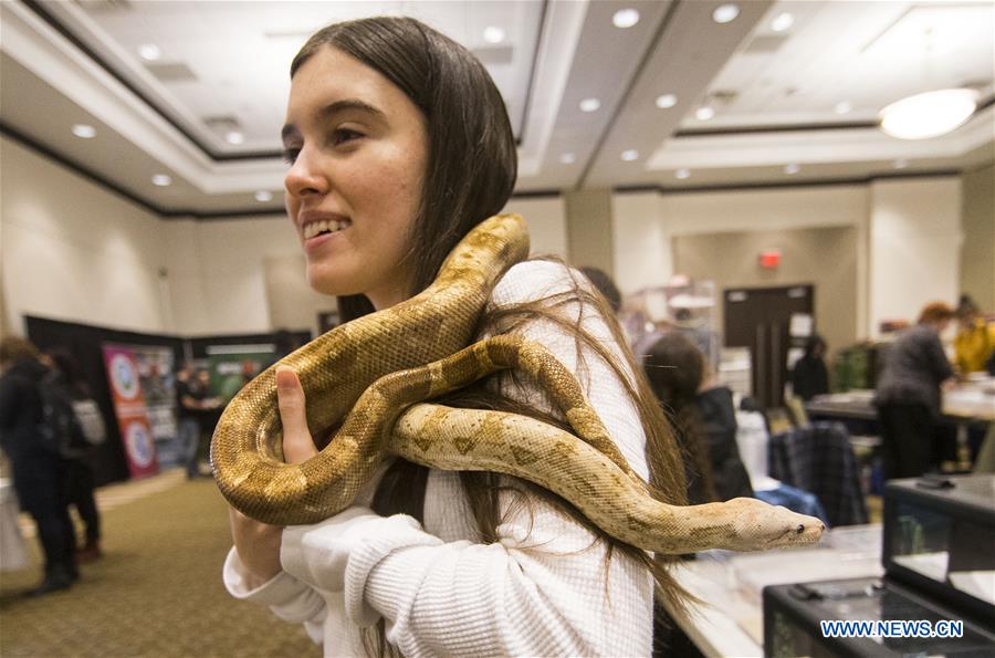 CANADA-TORONTO-REPTILE EXPO