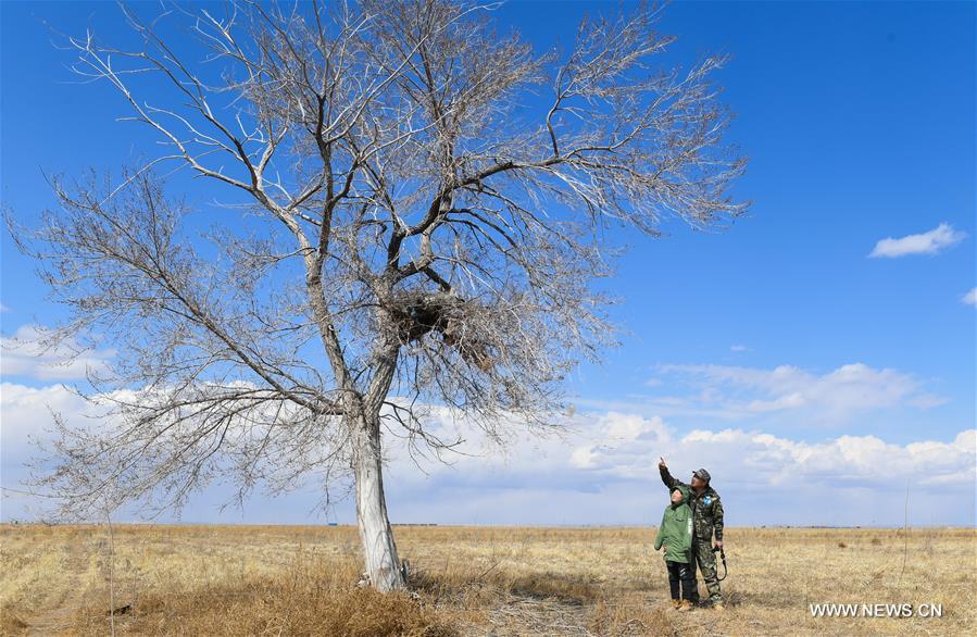 CHINA-INNER MONGOLIA-HULUN BUIR-WILDLIFE PROTECTOR (CN)