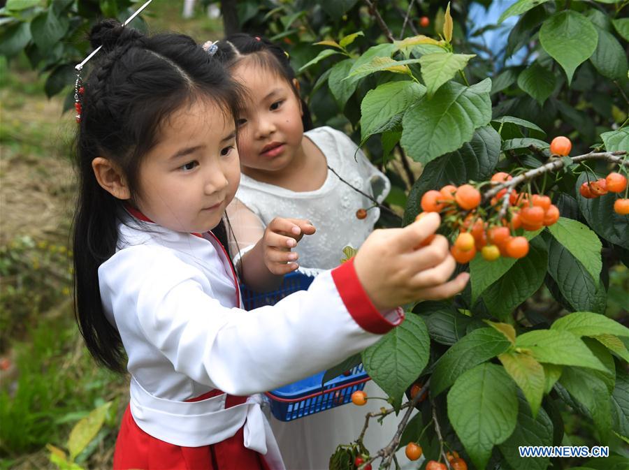 CHINA-ZHEJIANG-CHERRY(CN)