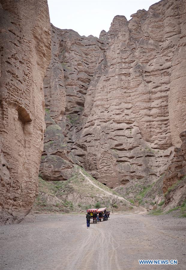 CHINA-GANSU-JINGTAI-DONKEY RIDE-BUSINESS (CN)