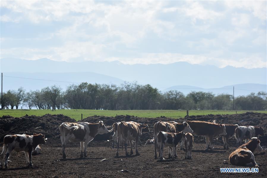 CHINA-QINGHAI-RANCH-TOURISM (CN)