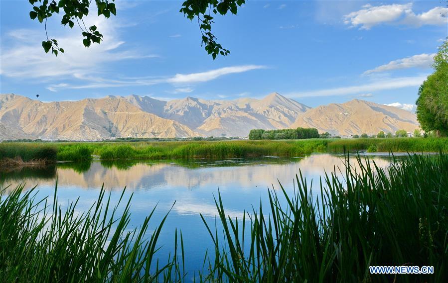 CHINA-TIBET-LHASA-LHALU WETLAND (CN)