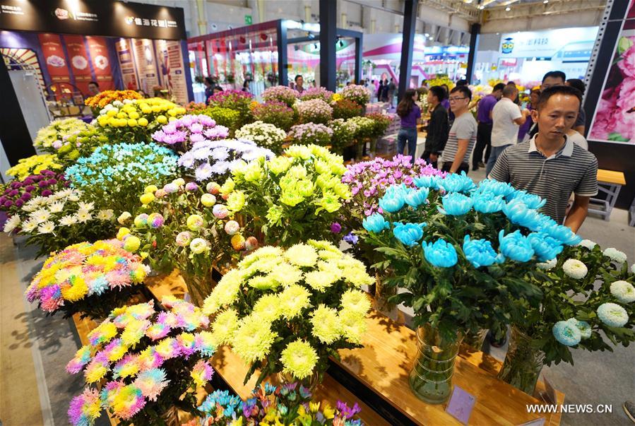 CHINA-KUNMING-FLOWER EXPO (CN)