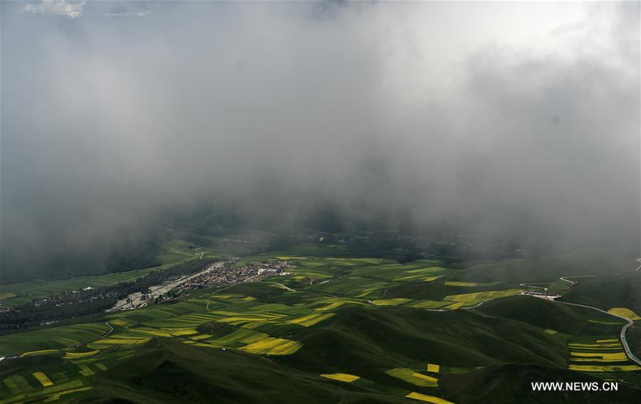 CHINA-QINGHAI-QILIAN-SCENERY (CN)