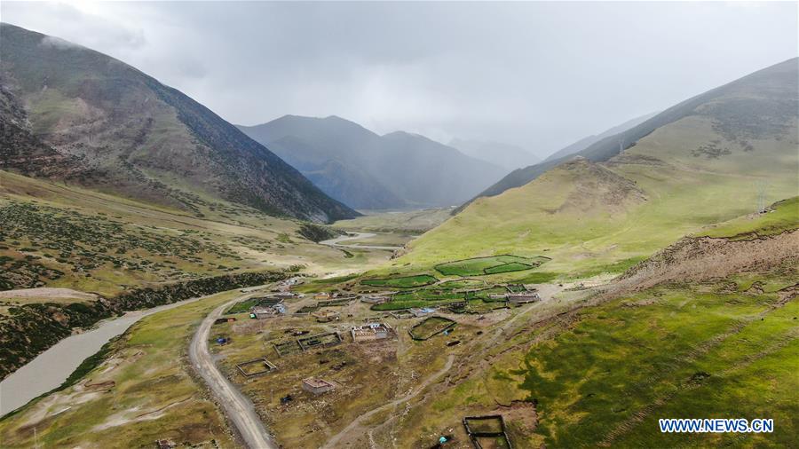 CHINA-TIBET-PASTURE (CN)