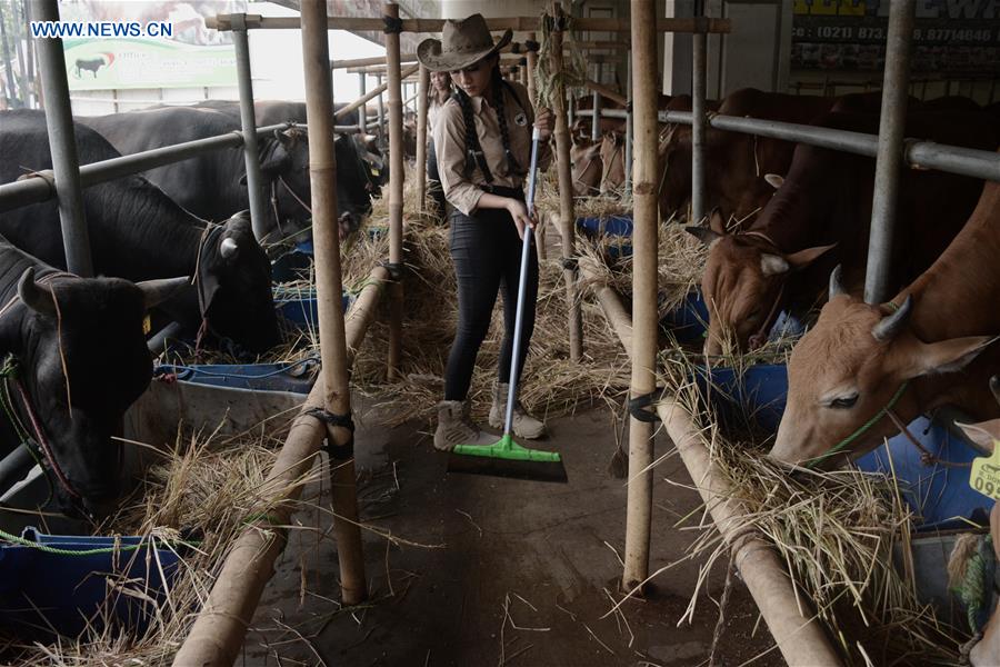 INDONESIA-WEST JAVA-LIVESTOCK-UPCOMING EID AL-ADHA