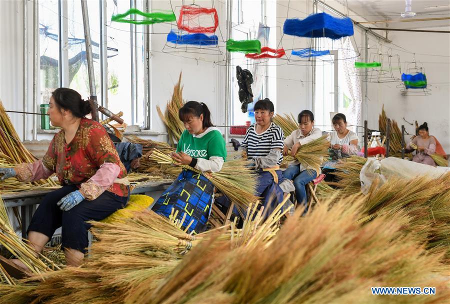 CHINA-INNER MONGOLIA-CHIFENG-BROOM INDUSTRY (CN)