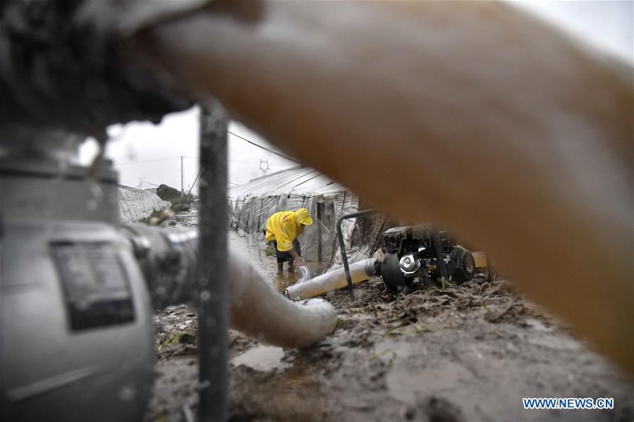 CHINA-SHANDONG-SHOUGUANG-TYPHOON-FLOOD-AFTERMATH (CN)