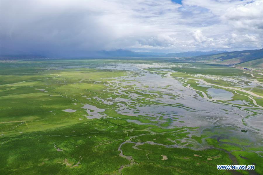 CHINA-TIBET-DAMXUNG-PASTURE (CN)