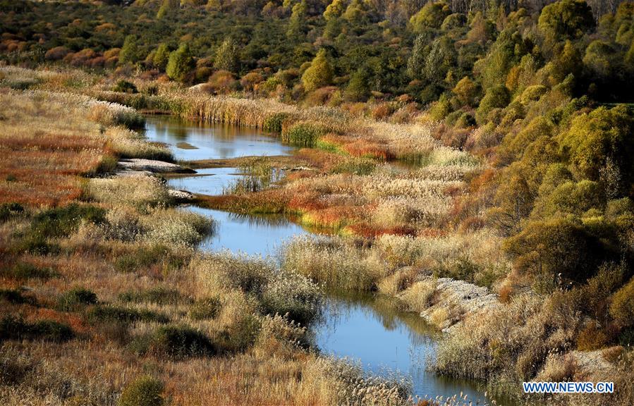 CHINA-INNER MONGOLIA-HORINGER-AUTUMN SCENERY (CN)