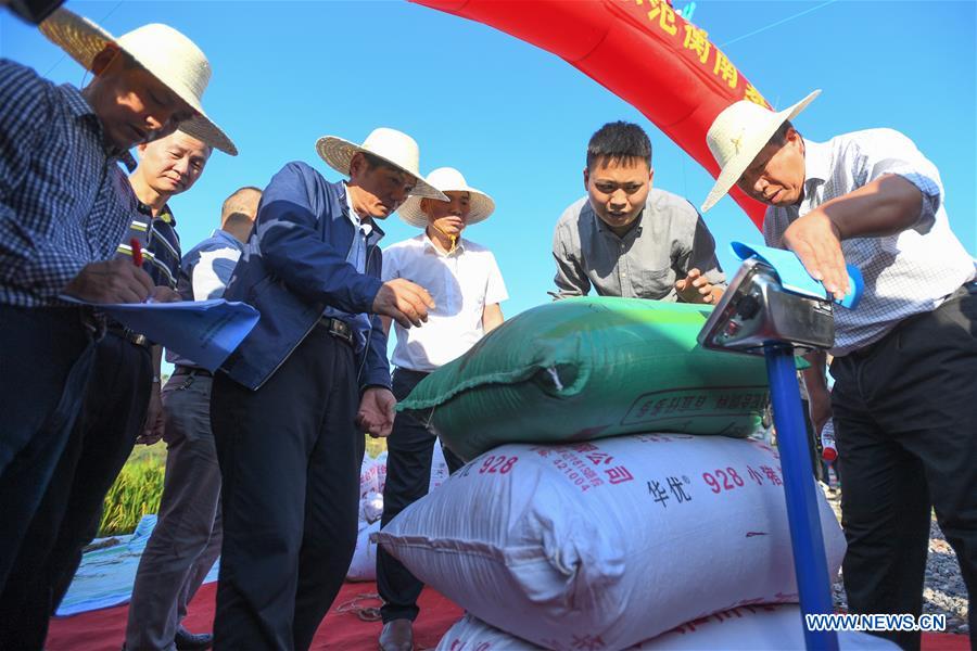 (Eyesonsci)CHINA-HUNAN-THIRD-GENERATION-HYBRID RICE (CN)