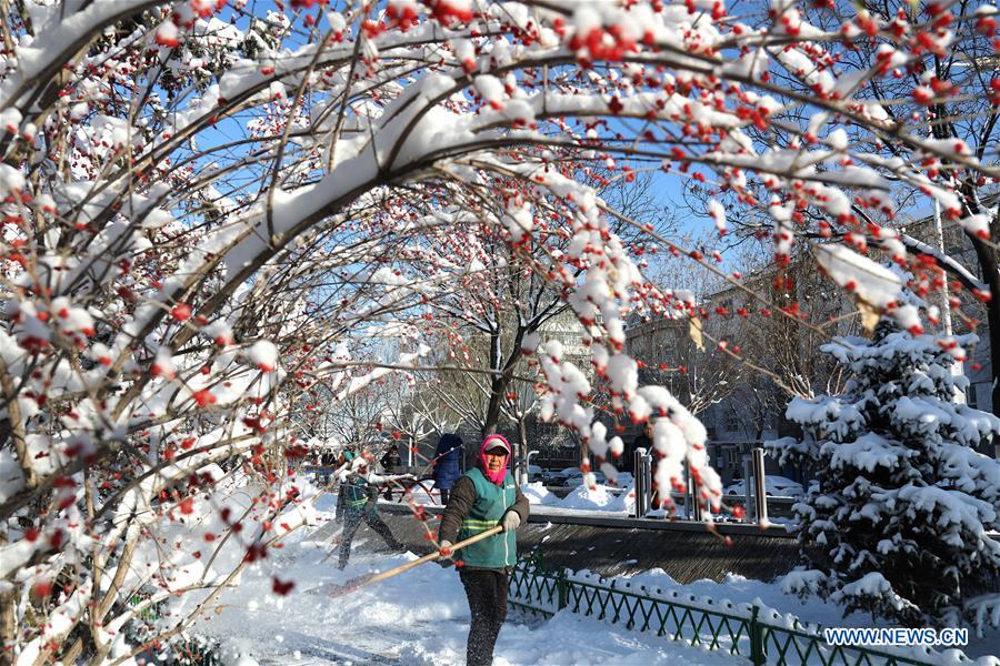 #CHINA-HEBEI-SNOWFALL (CN)