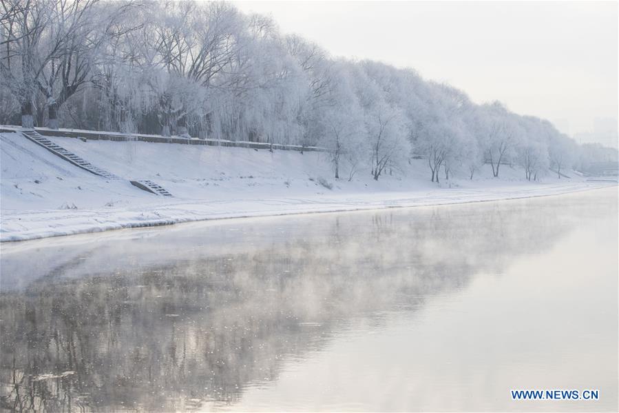 CHINA-HEILONGJIANG-HARBIN-RIME SCENERY (CN)