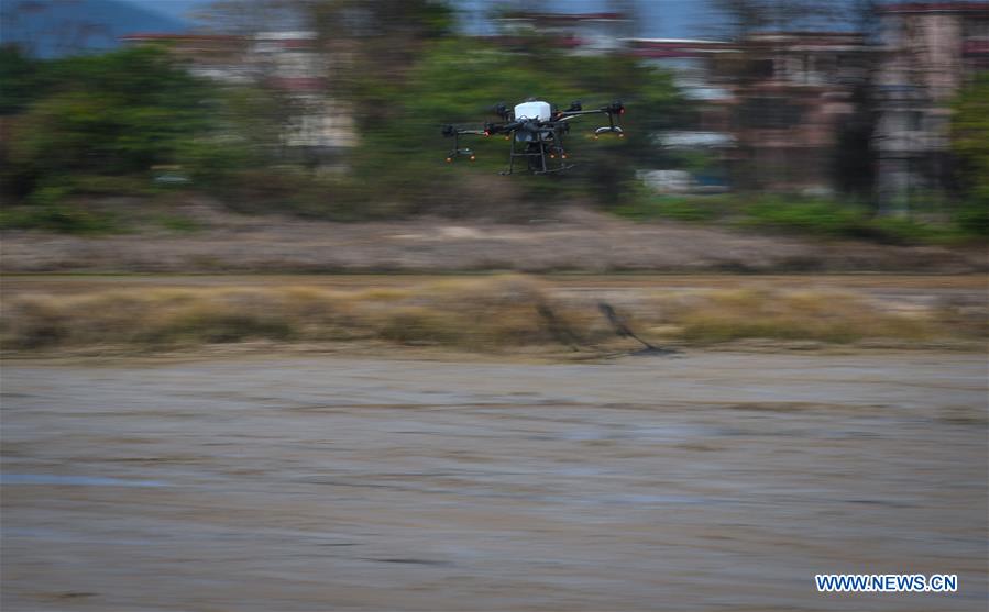 CHINA-GUANGDONG-KAIPING-FARMING-DRONES (CN)