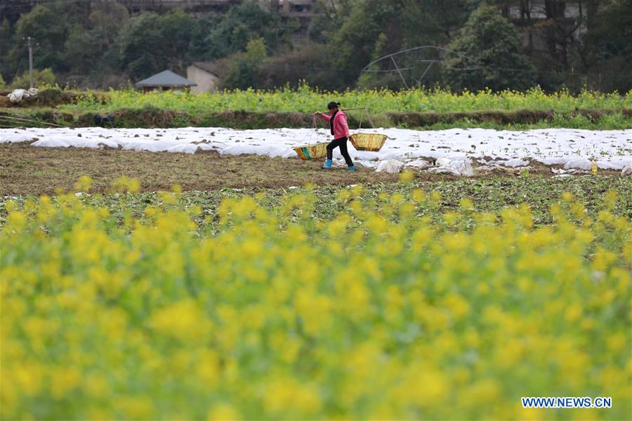 #CHINA-SPRING-FARMING (CN)