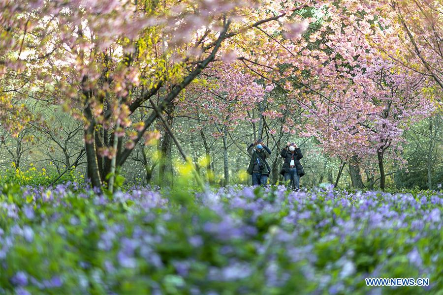 CHINA-HUBEI-WUHAN-SPRING SCENERY (CN)