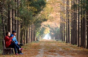 Early winter scenery across China