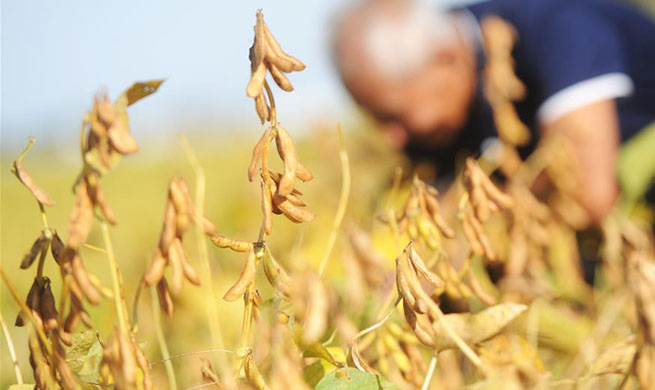 Autumn harvest seen in China