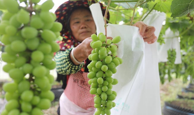 Farming season in China